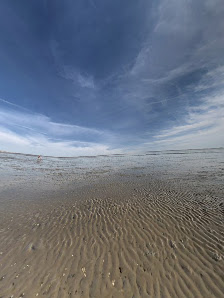 Wattenmeer – Bild