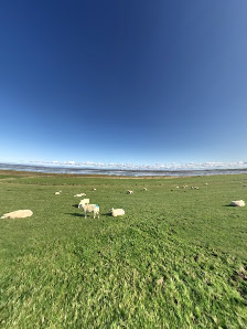 Ferienpark "Am Meer" Burhave – Bild
