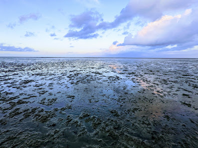 Hundestrand Horumersiel – Bild