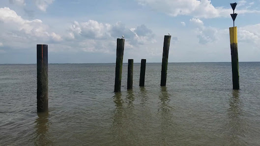 Fähre Eckwarderhörne-Wilhelmshaven – Bild