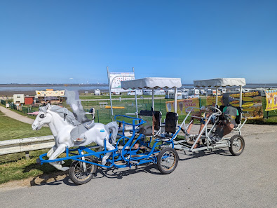Beach Cruiser Dangast – Bild